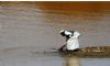 Au Soudan, des réfugiés du Tigré inquiets après des découvertes macabres dans une rivière  - Ekilafrica