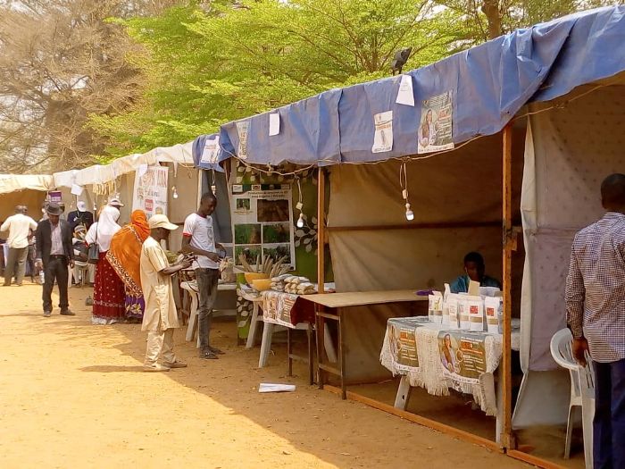 Festival international du mil : Les qualités du mil mises en valeur au 3è FestiMil à Niamey – Nigerinter