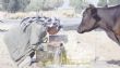 Débats autour de la question de l’eau: Pour un usage rationnel des ressources hydriques | La Presse de Tunisie