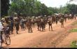 CENTRAFRIQUE : DRAME SANGLANT À MINGALA AUTOUR D'UN HIPPOPOTAME