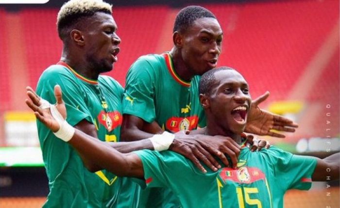 Africa: CAR Stun Cameroon for Historic Qualification - Nigeria, Burkina and DRC Advance - allAfrica.com
