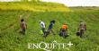 Migration circulaire | EnQuete+