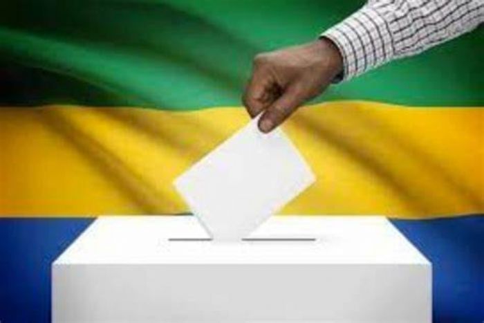 Gabon : des acteurs politiques saisissent la Cour constitutionnelle pour le report du scrutin - Journal de Brazza