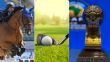 Egypt Gears Up for 3 Major Sporting Events in May, Pan Arab Golf Championship set for Madinaty, Katameya Dunes - Dailynewsegypt