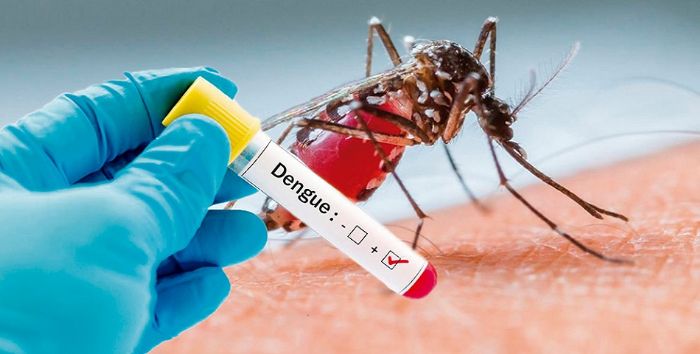 Dengue au Mali : plus de 336 cas confirmés, le président appelle à la vigilance  –  