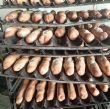 N’Djamena : 538 340 pains par jour, la dépendance silencieuse aux farines importées