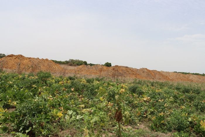 Barrage de Boulbi : les maraîchers sous pression, entre survie et restauration
