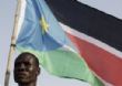 
		
		Diaspora actualités (24)	
	