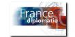 Quelle politique africaine pour la France ?							