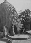 HISTOIRE DU CAMEROUN (/www.africa-onweb.com)