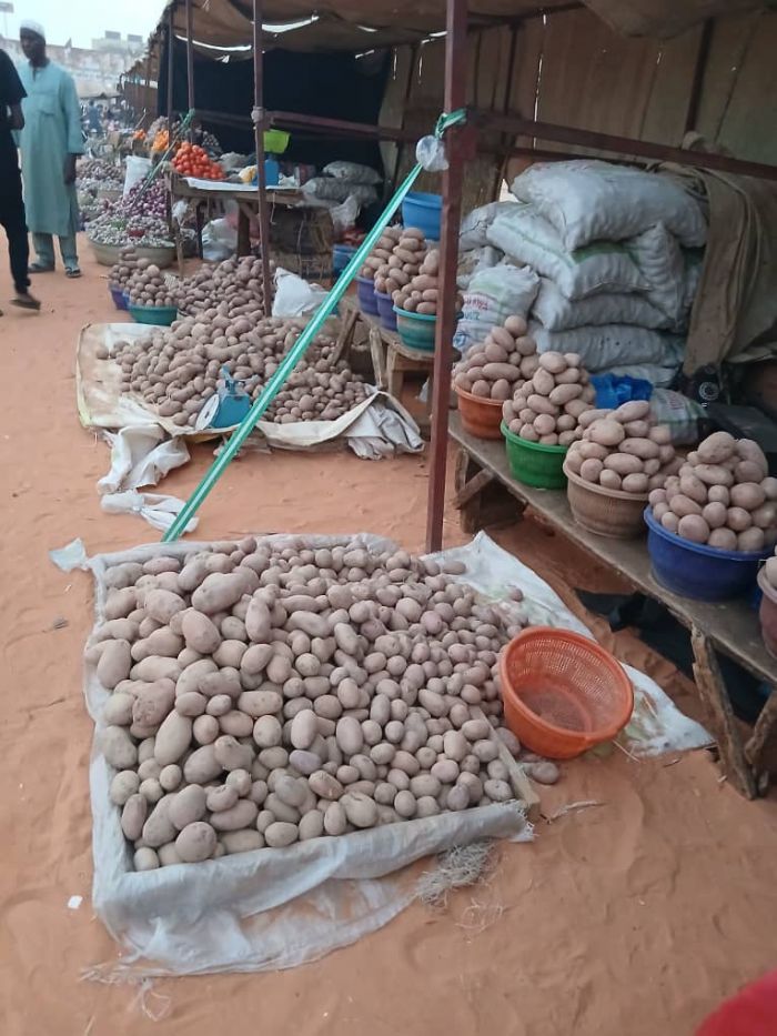 ÉCONOMIE AGRICOLE: Début ce 15 Janvier 2026 à Niamey de la 15ème édition de la foire des maraîchers de l&rsquo;Aïr – Le Canard Déchaîné Niger
