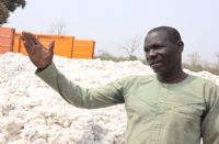 Togo / Retards de paiement. Coût élevé des intrants. Gestion opaque: Olam Face à La Colère Grandissante des Cotonculteurs