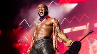 ?? Les Genres Musicaux Africains : Richesse, Diversité et Influence Mondiale