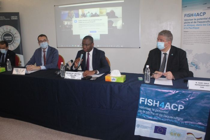 Consensus autour d'un plan de production de tilapia en Côte d'Ivoire - Journal du Cameroun
