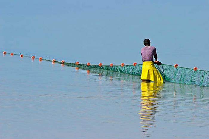 Cameroun : L’économie bleue, une opportunité de développement pour l’Afrique - La Voix Du Paysan