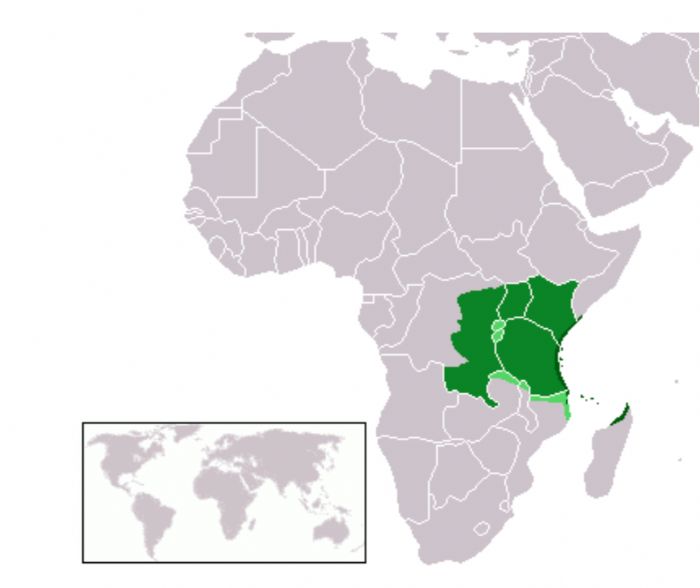AFRIQUE: L&rsquo;UNESCO adopte le Swahili comme – Le Canard Déchaîné Niger