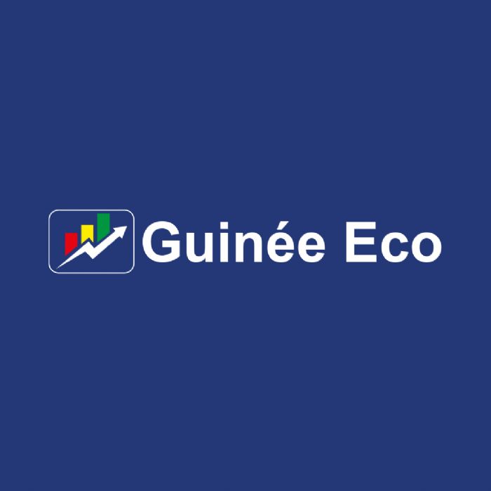L’essor du commerce basé sur l’IA en Afrique se heurte à un obstacle (Rapport)