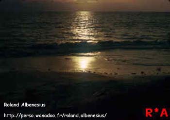 E-carte Roland Albenesius n&deg;4